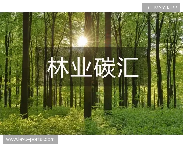 意甲气候行动倡议：碳中和球场建设推进